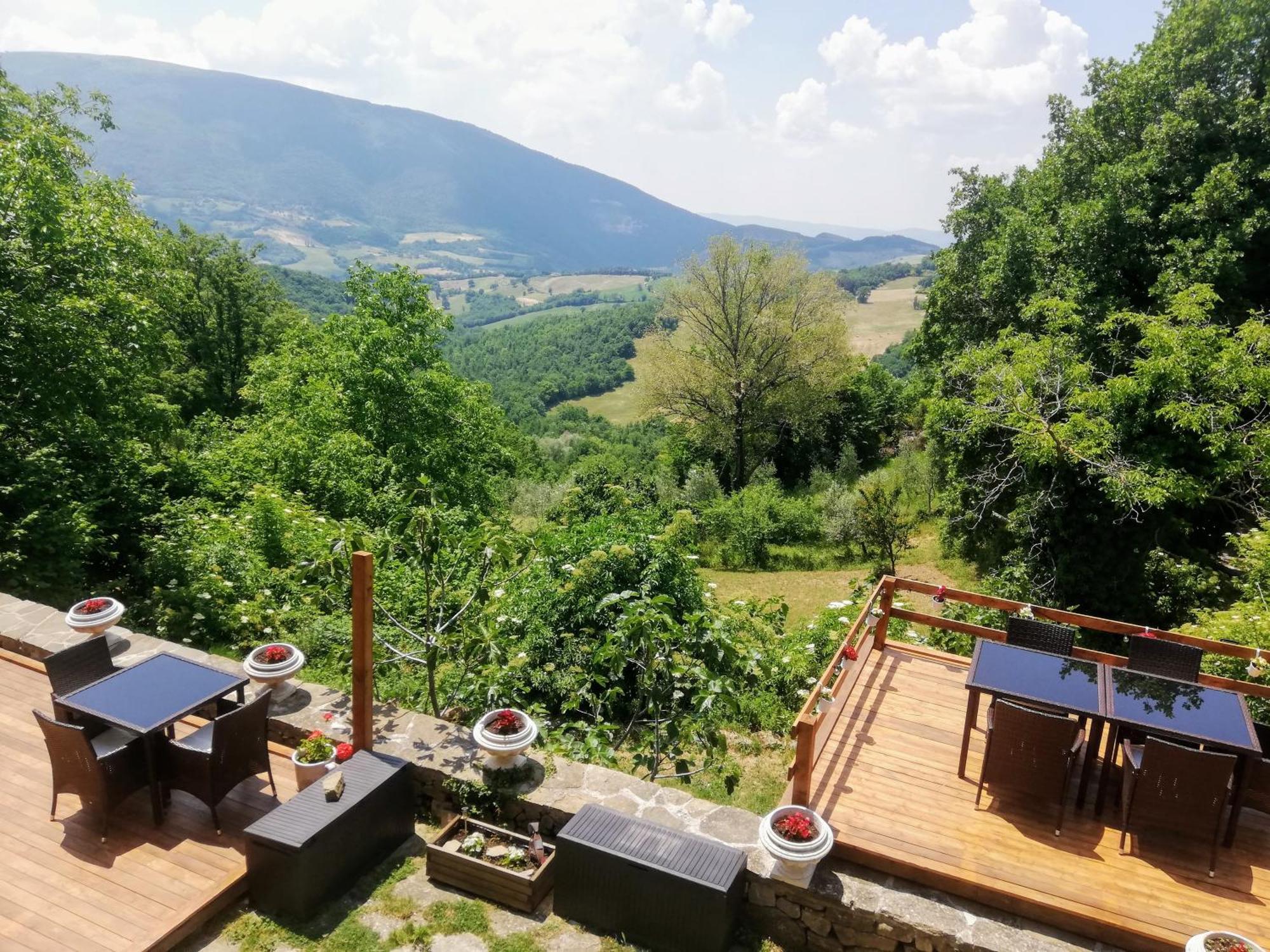 Le Ginestre Apartments Ассизи Номер фото